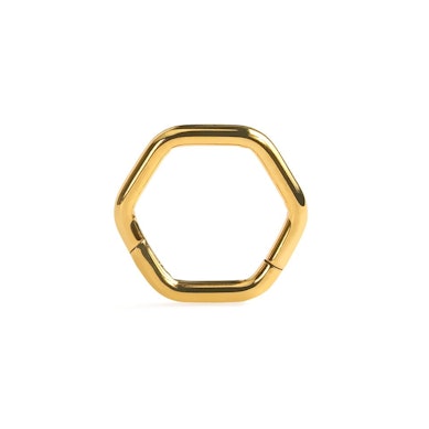 Zeshoekige titanium scharnierring