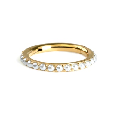 Titanium ring met scharnier met pave parels