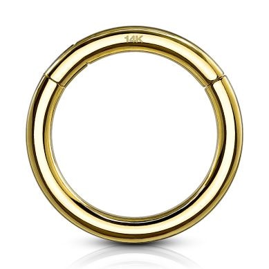 Segment-ring-van-14-karaats-goud-met-scharnier