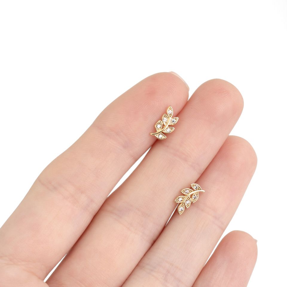 Labret met inwendige schroefdraad en blad