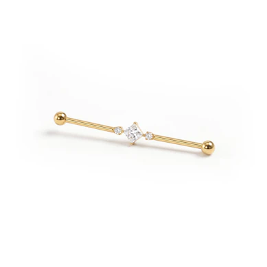 Titanium industrial barbell met vierkante centrale steen