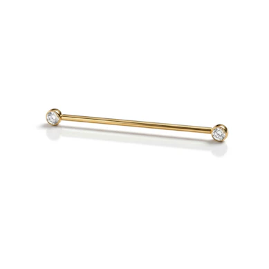 Titanium industrial barbell met stenen in bezelzetting