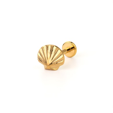 Titanium labret met schelp