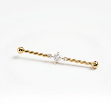 Titanium industrial barbell met vierkante centrale steen