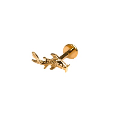 Koi vis labret van titanium