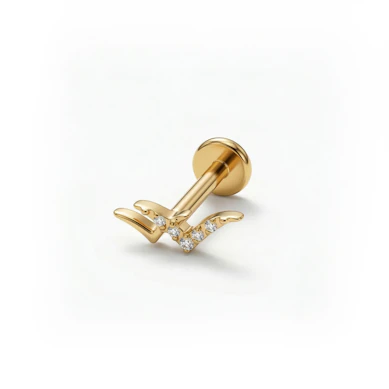 Titanium vogels labret