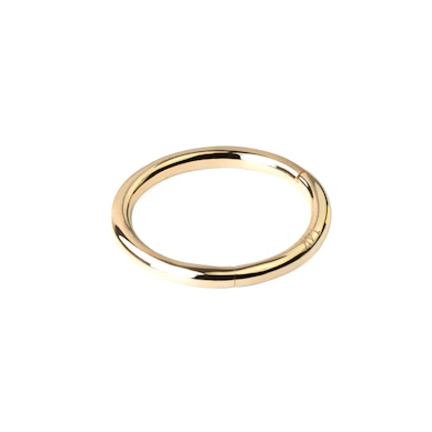 Segment-ring-van-14-karaats-goud-met-scharnier
