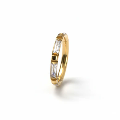 Titanium ring met baguette stenen