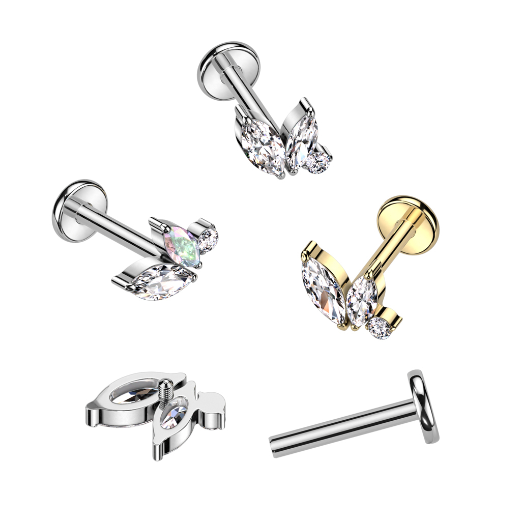 Subtiele labret van titanium met interne schroefdraad