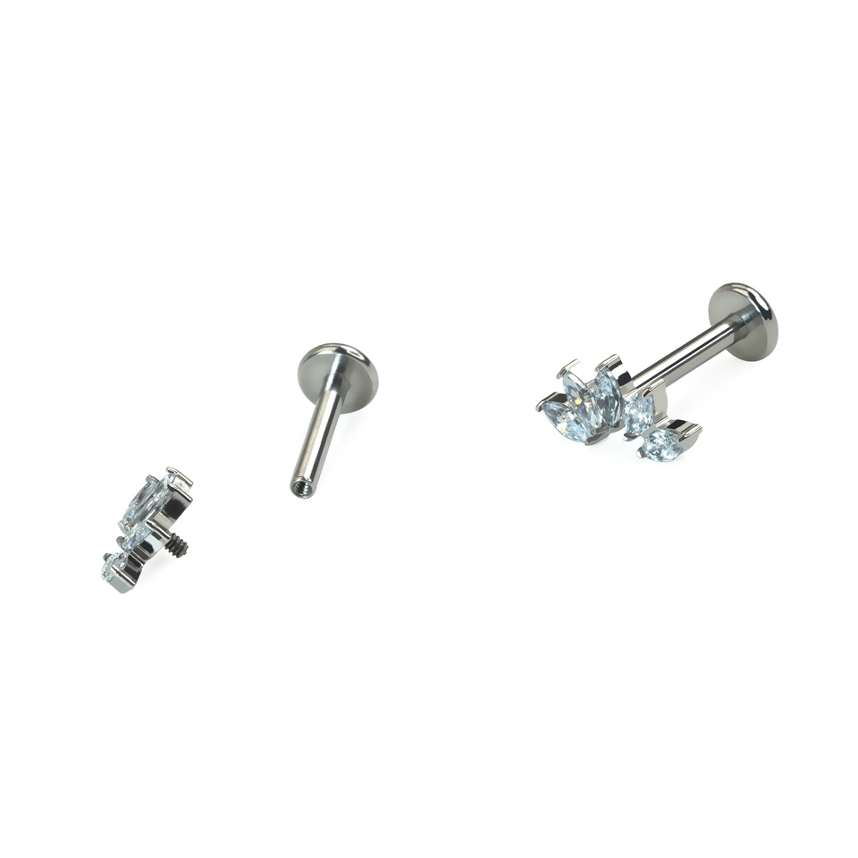 Gebogen titanium labret met 5 steentjes