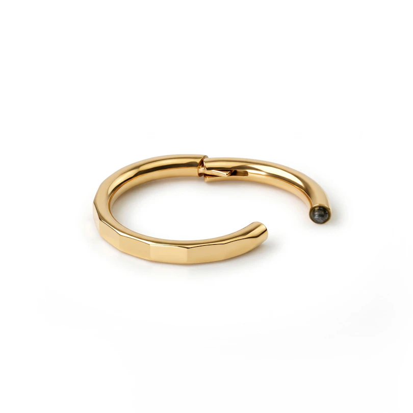 Elegant geslepen titanium ring