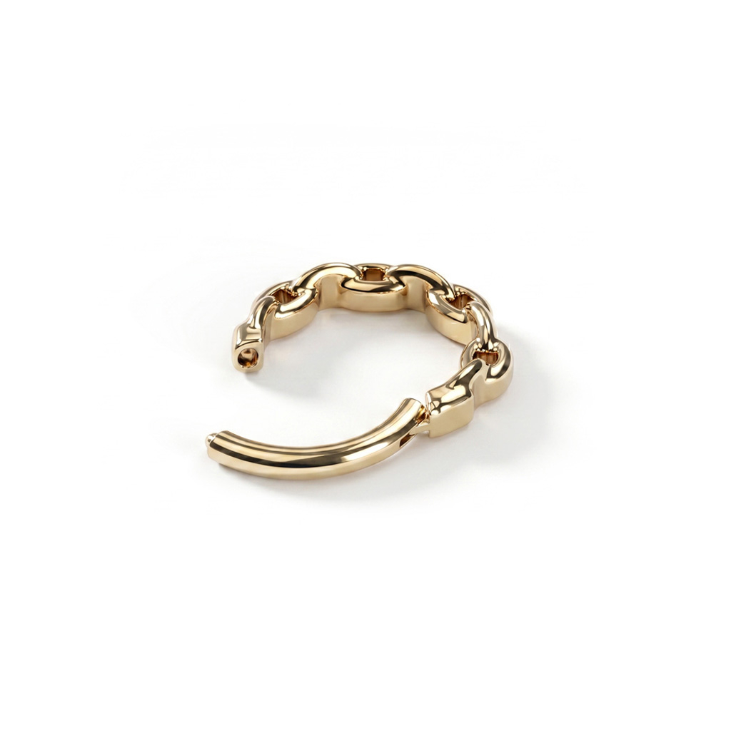 Titanium ring met kettingdetail