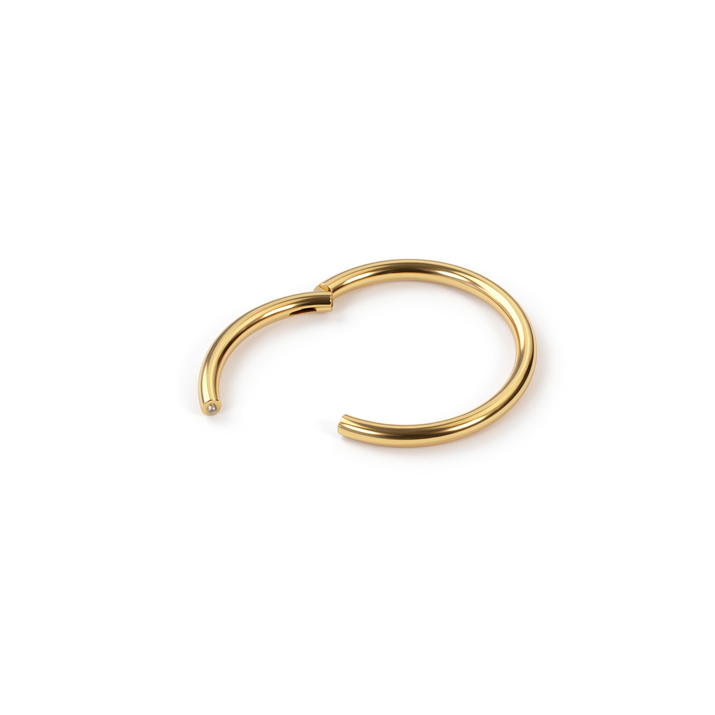 24k vergulde titanium scharnierring