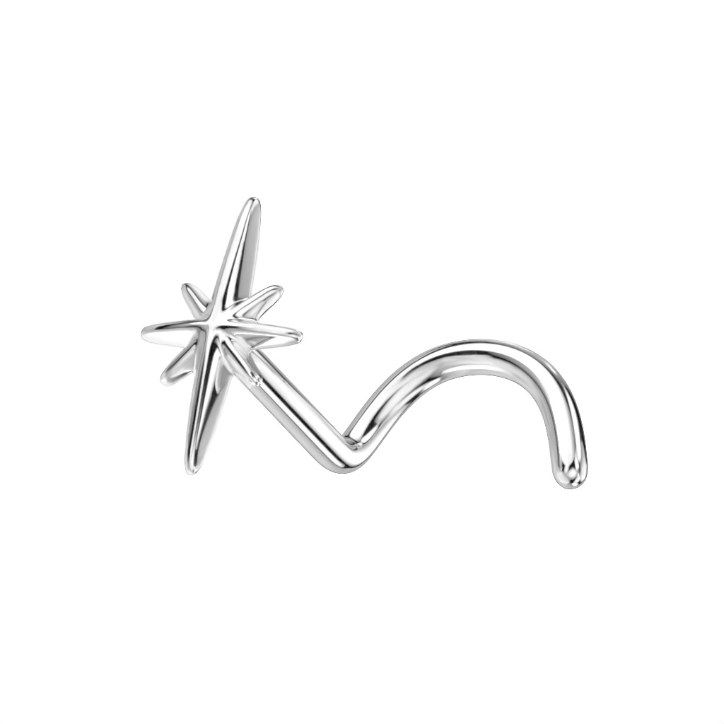 Neusschroef van 14 karaats goud met noordster